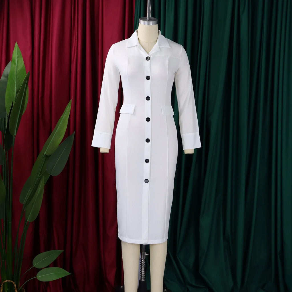 Elegant Bodycon Work Dress