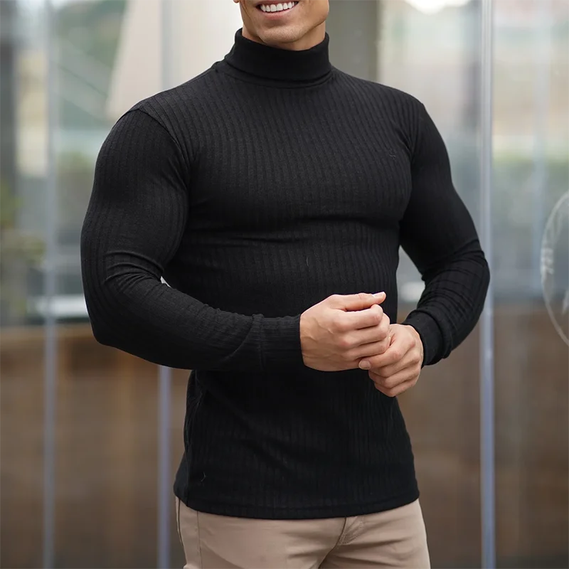 Plain  Slim Fit Turtleneck Knitted Long Sleeve Breathable Quick Dry T-shirts, Fitness Bodybuilding Muscle Sweater Pullover