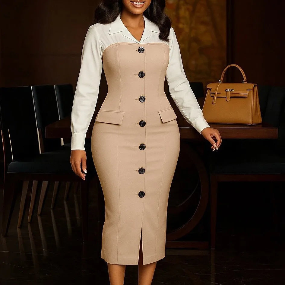 Elegant Bodycon Work Dress