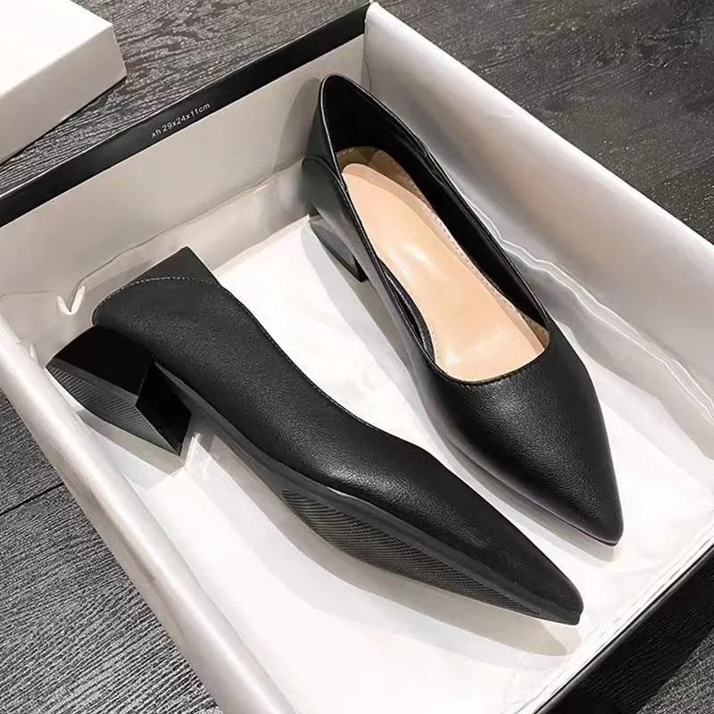 Low Heel Elegant Pointed Toe With Bow Slip-On
