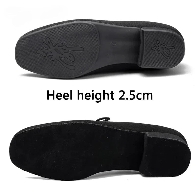 Low Heels Professional Dancing Shoes