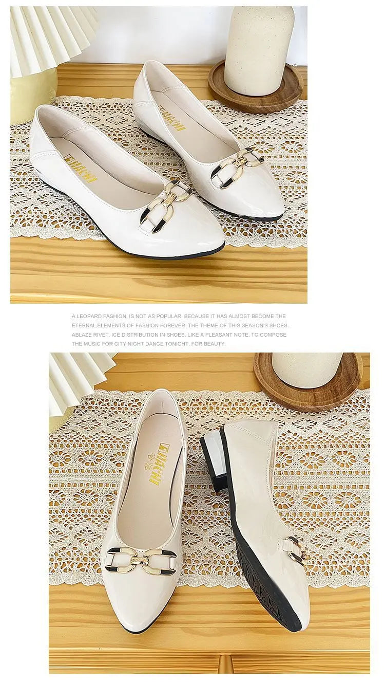 Pointed Toe Patent Leather Low Heel Single Slip on Classic Shoes